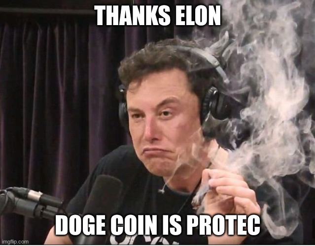 Elon Musk smoking a joint | THANKS ELON DOGE COIN IS PROTEC | image tagged in elon musk smoking a joint | made w/ Imgflip meme maker