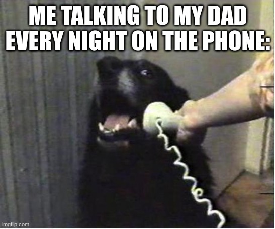 he didnt leave me my parents are just divorced | ME TALKING TO MY DAD EVERY NIGHT ON THE PHONE: | image tagged in yes this is dog | made w/ Imgflip meme maker