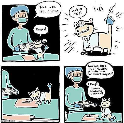 ,.. | made w/ Imgflip meme maker