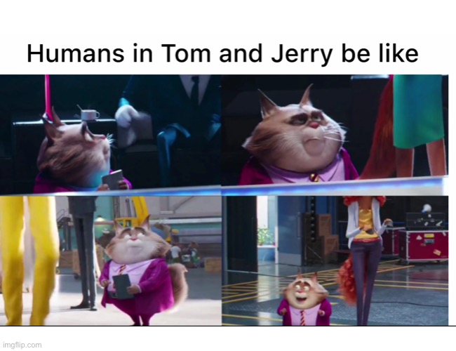 Tom and Jerry | image tagged in funny,memes,cats,tom and jerry,unsettled tom,polish jerry | made w/ Imgflip meme maker