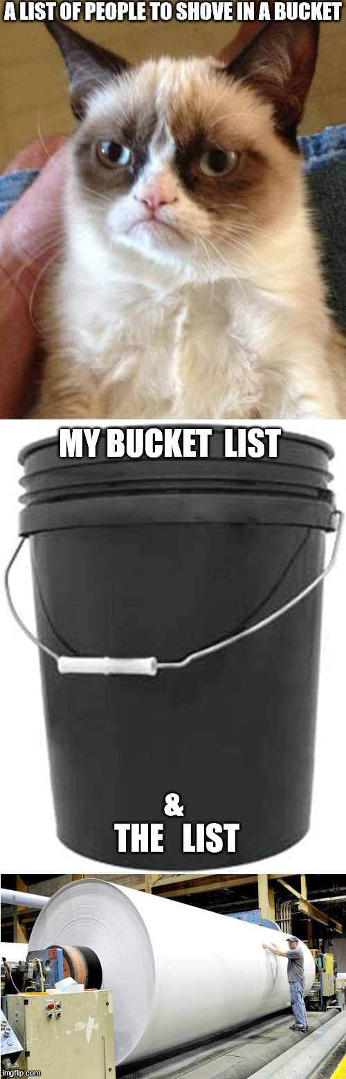 A LIST OF PEOPLE TO SHOVE IN A BUCKET MY BUCKET  LIST &  THE   LIST | made w/ Imgflip meme maker