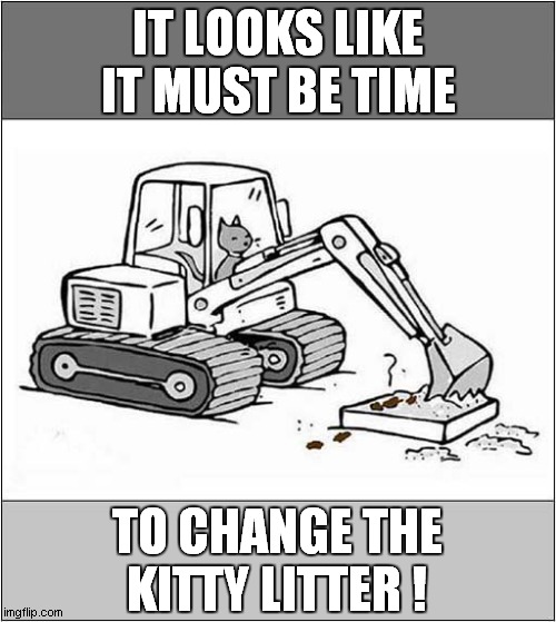 A Cats Subtle Hint ! | IT LOOKS LIKE IT MUST BE TIME; TO CHANGE THE KITTY LITTER ! | image tagged in cats,kitty litter,cartoon | made w/ Imgflip meme maker