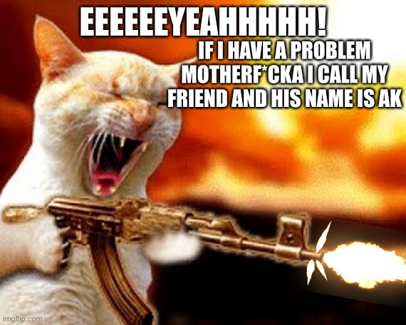 machine gun cat | EEEEEEYEAHHHHH! IF I HAVE A PROBLEM MOTHERF*CKA I CALL MY FRIEND AND HIS NAME IS AK | image tagged in machine gun cat | made w/ Imgflip meme maker