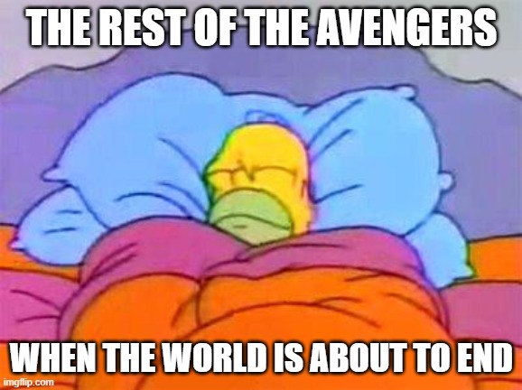 Homer bed | THE REST OF THE AVENGERS; WHEN THE WORLD IS ABOUT TO END | image tagged in homer bed | made w/ Imgflip meme maker