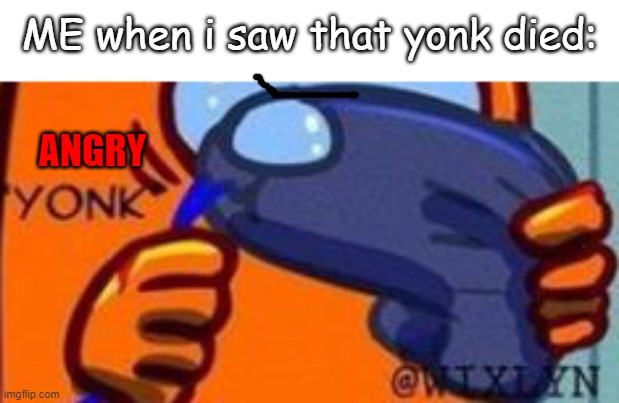What happened to yonk? | ME when i saw that yonk died:; ANGRY | image tagged in yonk | made w/ Imgflip meme maker