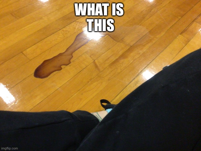 WHAT IS 
THIS | made w/ Imgflip meme maker