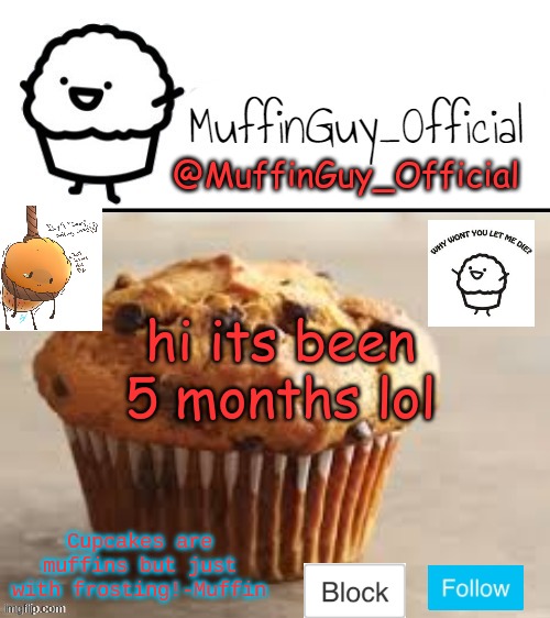 hi | hi its been 5 months lol | image tagged in muffinguy_official's template | made w/ Imgflip meme maker