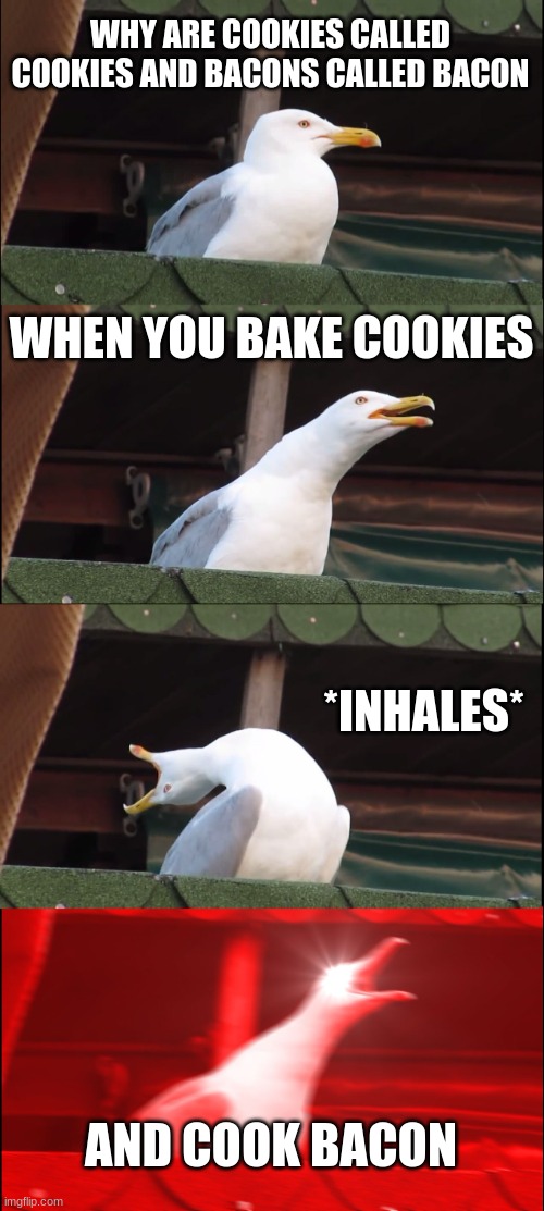 This copy of my other one ( i had typo on other one) | WHY ARE COOKIES CALLED COOKIES AND BACONS CALLED BACON; WHEN YOU BAKE COOKIES; *INHALES*; AND COOK BACON | image tagged in memes,inhaling seagull | made w/ Imgflip meme maker