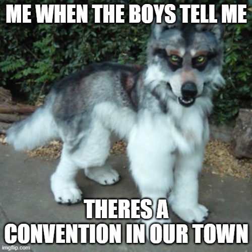 CONVENTIONS | ME WHEN THE BOYS TELL ME; THERES A CONVENTION IN OUR TOWN | image tagged in wolf quadsuit,furry,memes | made w/ Imgflip meme maker