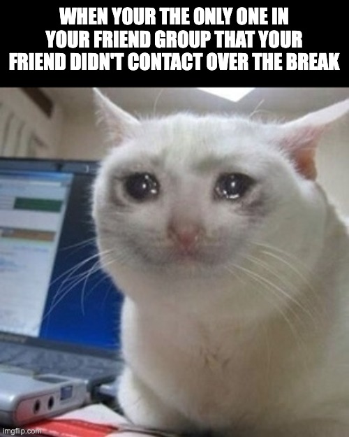 I hope that one day she will come around | WHEN YOUR THE ONLY ONE IN YOUR FRIEND GROUP THAT YOUR FRIEND DIDN'T CONTACT OVER THE BREAK | image tagged in crying cat | made w/ Imgflip meme maker