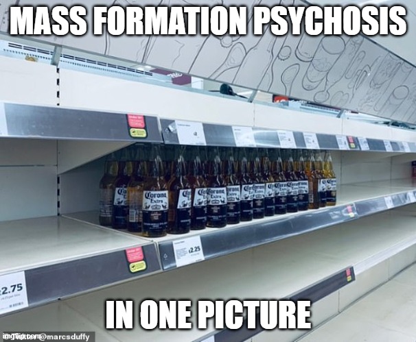 How did we get here? | MASS FORMATION PSYCHOSIS; IN ONE PICTURE | image tagged in covidiots | made w/ Imgflip meme maker