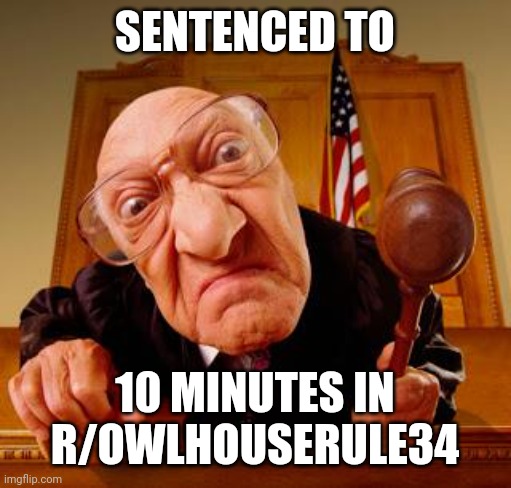 Mean Judge | SENTENCED TO; 10 MINUTES IN R/OWLHOUSERULE34 | image tagged in mean judge | made w/ Imgflip meme maker