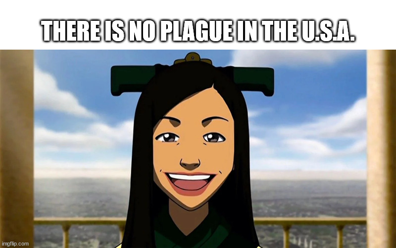 No Plague, No War |  THERE IS NO PLAGUE IN THE U.S.A. | image tagged in there is no war in ba sing se,plague,covid | made w/ Imgflip meme maker