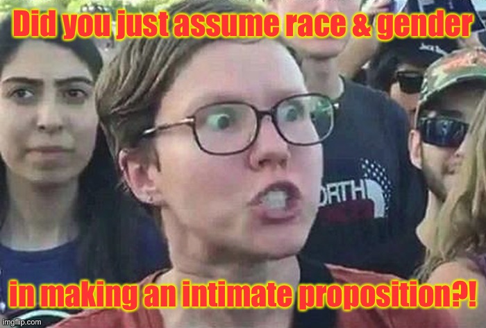 Triggered Liberal | Did you just assume race & gender in making an intimate proposition?! | image tagged in triggered liberal | made w/ Imgflip meme maker