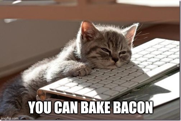 Bored Keyboard Cat | YOU CAN BAKE BACON | image tagged in bored keyboard cat | made w/ Imgflip meme maker