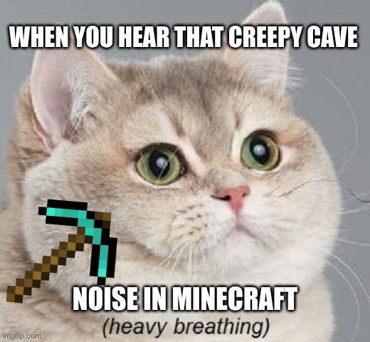 anyone who's heard know that it is very creepy | WHEN YOU HEAR THAT CREEPY CAVE; NOISE IN MINECRAFT | image tagged in memes,heavy breathing cat | made w/ Imgflip meme maker