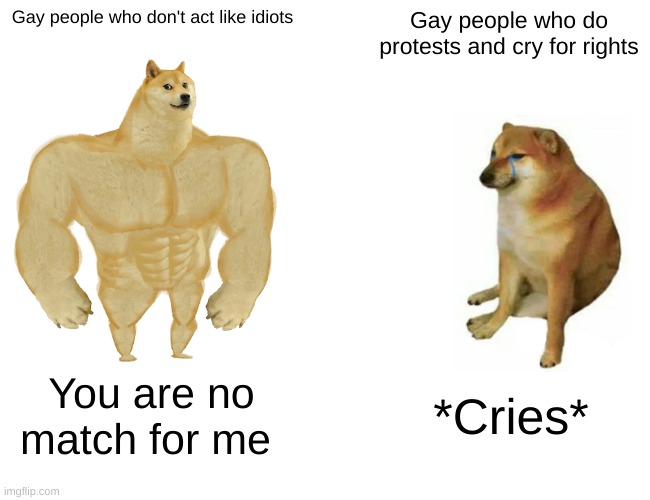 Buff Doge vs. Cheems | Gay people who don't act like idiots; Gay people who do protests and cry for rights; You are no match for me; *Cries* | image tagged in memes,buff doge vs cheems,funny memes | made w/ Imgflip meme maker