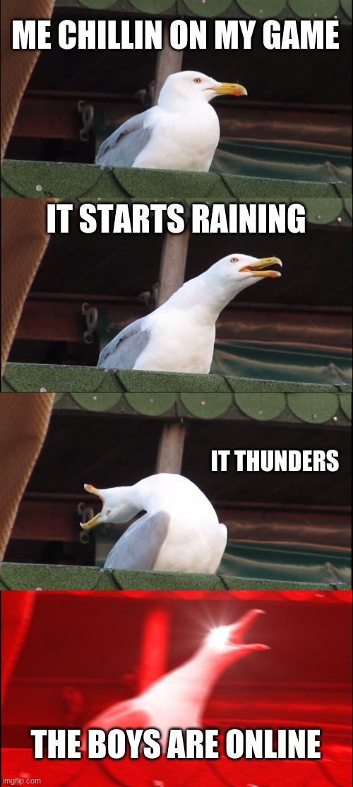 Inhaling Seagull | ME CHILLIN ON MY GAME; IT STARTS RAINING; IT THUNDERS; THE BOYS ARE ONLINE | image tagged in memes,inhaling seagull | made w/ Imgflip meme maker