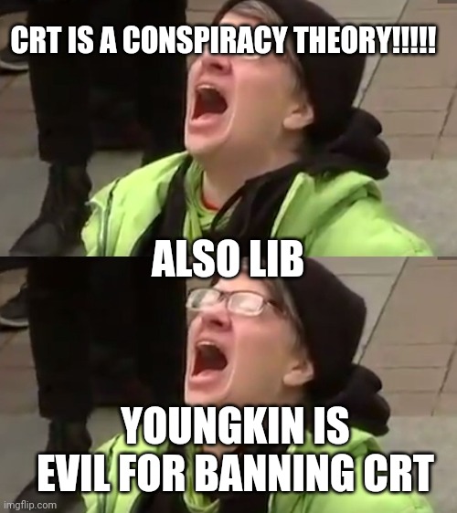 they never change | CRT IS A CONSPIRACY THEORY!!!!! ALSO LIB; YOUNGKIN IS EVIL FOR BANNING CRT | image tagged in screaming liberal,crt | made w/ Imgflip meme maker