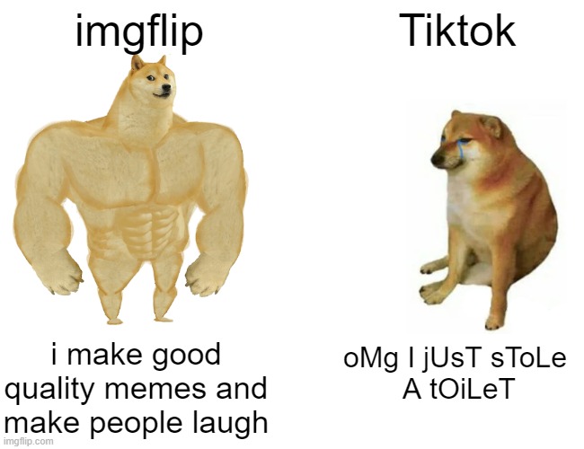 Buff Doge vs. Cheems Meme |  imgflip; Tiktok; i make good quality memes and make people laugh; oMg I jUsT sToLe 
A tOiLeT | image tagged in memes,buff doge vs cheems | made w/ Imgflip meme maker