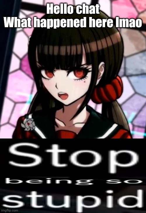 Stop being so stupid | Hello chat
What happened here lmao | image tagged in stop being so stupid | made w/ Imgflip meme maker