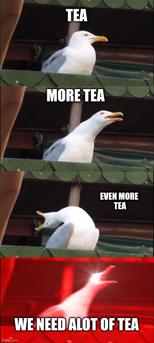 wane the UK told the usa to get them tea#some one delete it  which was rude | TEA; MORE TEA; EVEN MORE 
TEA; WE NEED ALOT OF TEA | image tagged in memes,inhaling seagull,tea | made w/ Imgflip meme maker