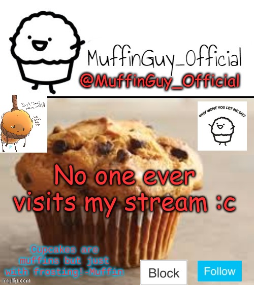MuffinGuy_Official's Template. | No one ever visits my stream :c | image tagged in muffinguy_official's template | made w/ Imgflip meme maker