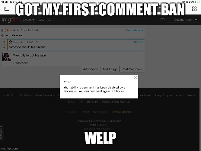 The mods banned bc i spammed mario. Smh | GOT MY FIRST COMMENT BAN; WELP | made w/ Imgflip meme maker