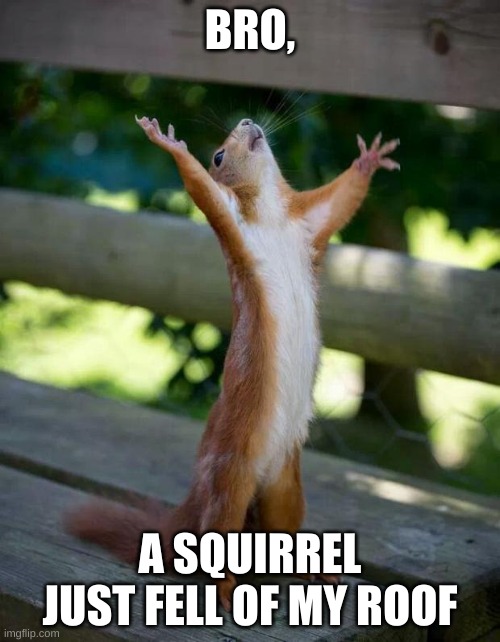 Happy Squirrel | BRO, A SQUIRREL JUST FELL OF MY ROOF | image tagged in happy squirrel | made w/ Imgflip meme maker
