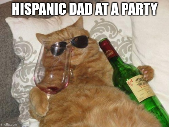 winecat | HISPANIC DAD AT A PARTY | image tagged in winecat | made w/ Imgflip meme maker