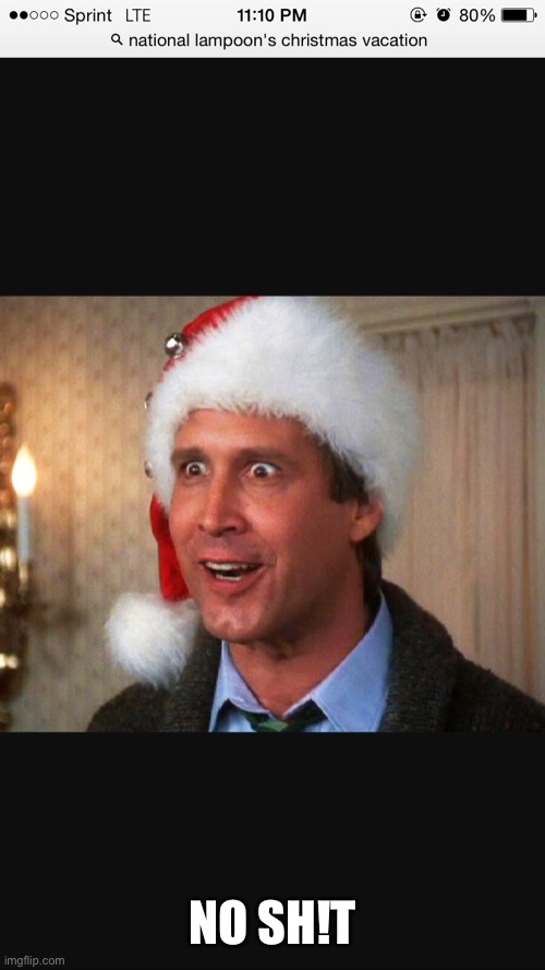 chevy chase christmas | NO SH!T | image tagged in chevy chase christmas | made w/ Imgflip meme maker