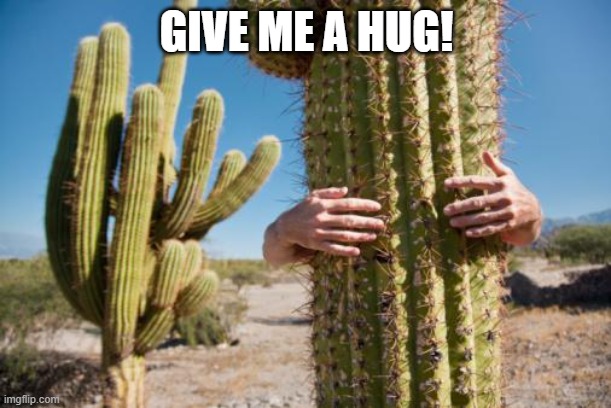 Cactus Love | GIVE ME A HUG! | image tagged in cactus love | made w/ Imgflip meme maker