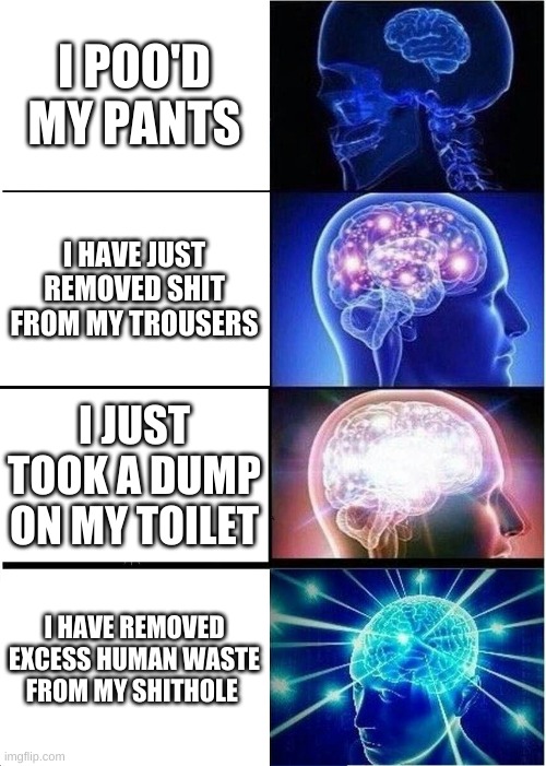 Expanding Brain Meme | I POO'D MY PANTS; I HAVE JUST REMOVED SHIT FROM MY TROUSERS; I JUST TOOK A DUMP ON MY TOILET; I HAVE REMOVED EXCESS HUMAN WASTE FROM MY SHITHOLE | image tagged in memes,expanding brain | made w/ Imgflip meme maker