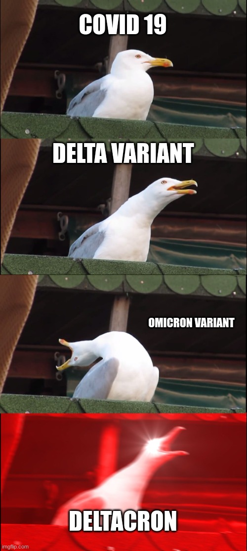 Inhaling Seagull Meme | COVID 19; DELTA VARIANT; OMICRON VARIANT; DELTACRON | image tagged in memes,inhaling seagull | made w/ Imgflip meme maker