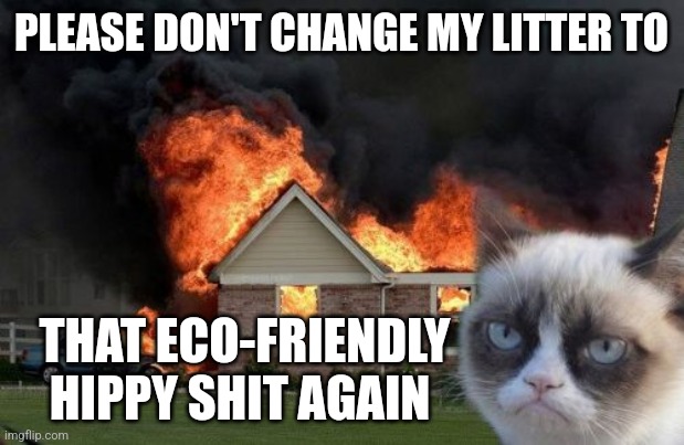 Picky kitty | PLEASE DON'T CHANGE MY LITTER TO; THAT ECO-FRIENDLY
HIPPY SHIT AGAIN | image tagged in memes,burn kitty,grumpy cat,cat,litter box,hippie | made w/ Imgflip meme maker