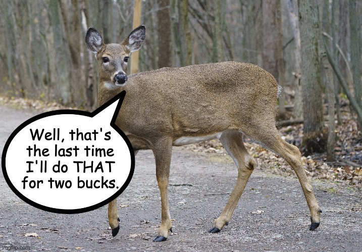 Two Bucks | Well, that's the last time I'll do THAT for two bucks. | image tagged in bad pun | made w/ Imgflip meme maker