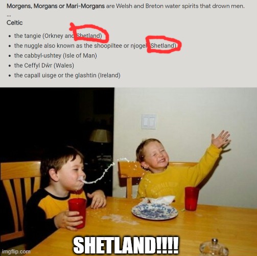 SHETLAND IS REALL!!!! | SHETLAND!!!! | image tagged in memes,yo mamas so fat | made w/ Imgflip meme maker