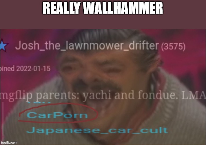 stop tryna make me die of laughter | REALLY WALLHAMMER | image tagged in josh ptsd | made w/ Imgflip meme maker