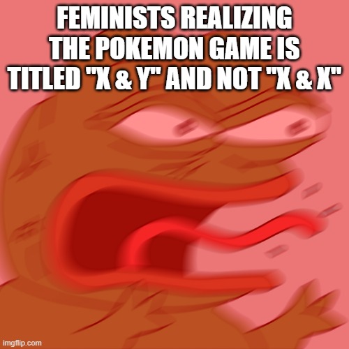 Fake Feminists | FEMINISTS REALIZING THE POKEMON GAME IS TITLED "X & Y" AND NOT "X & X" | image tagged in rage pepe | made w/ Imgflip meme maker