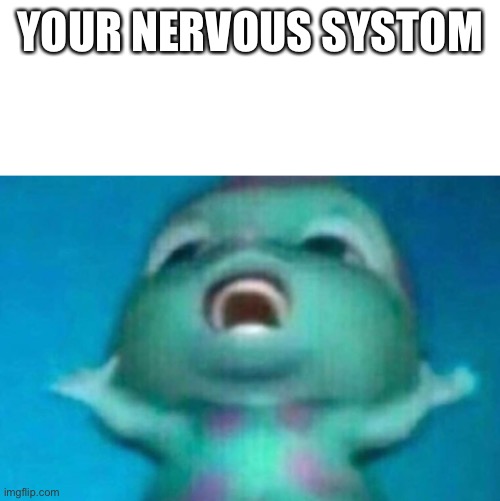 fuzzy blue guy | YOUR NERVOUS SYSTEM | image tagged in fuzzy blue guy | made w/ Imgflip meme maker
