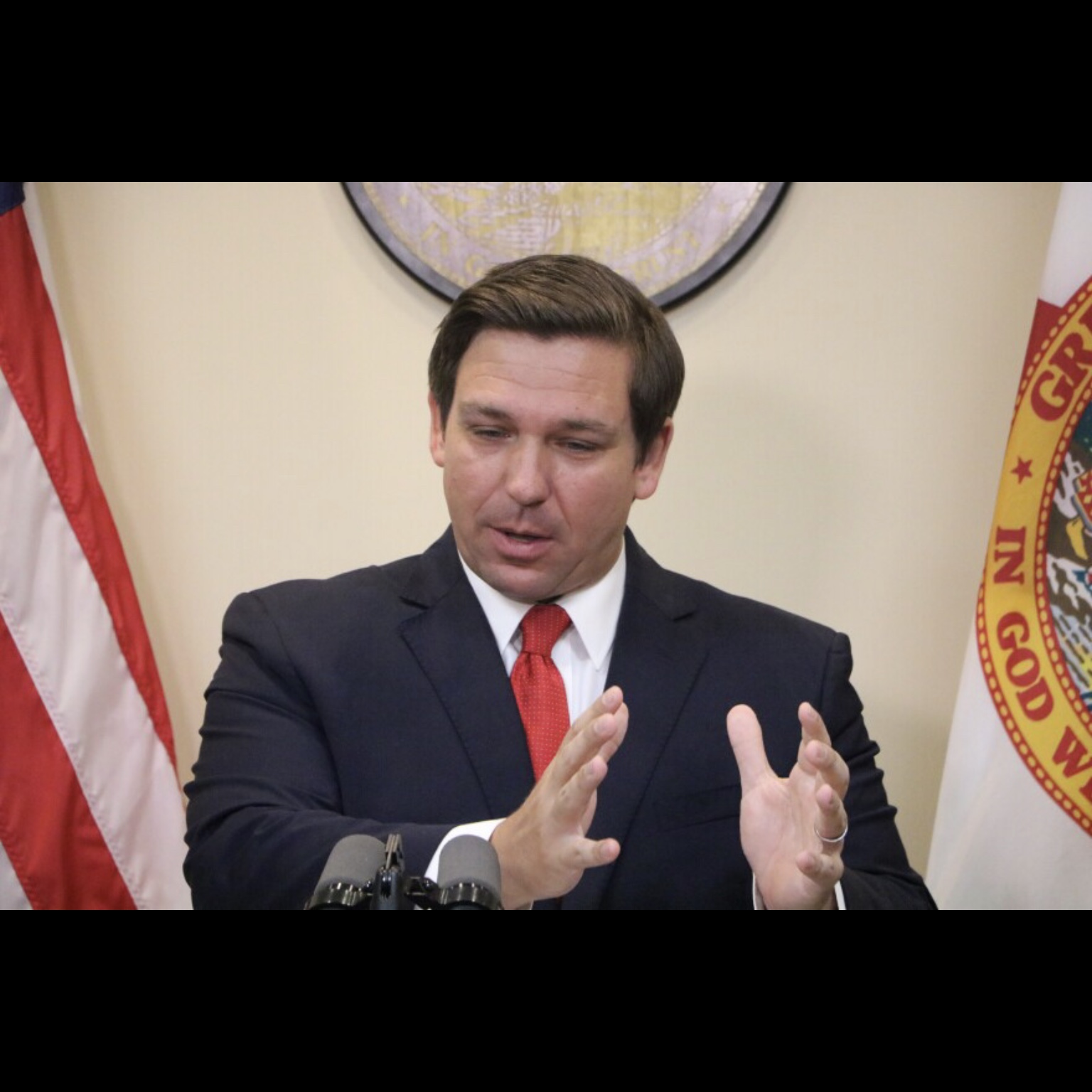 Honorable Governor DeSantis Blank Meme Template