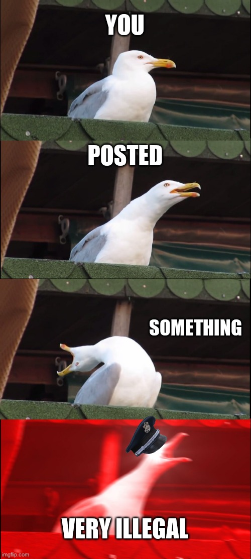 Inhaling Seagull | YOU; POSTED; SOMETHING; VERY ILLEGAL | image tagged in memes,inhaling seagull | made w/ Imgflip meme maker