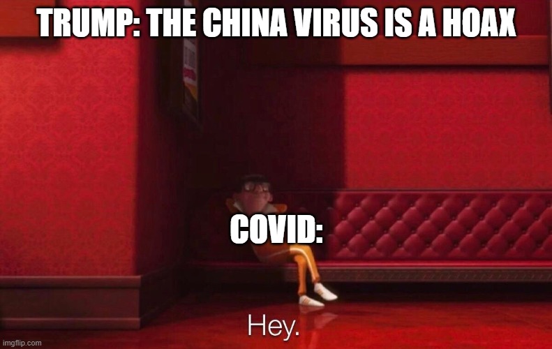Vector: Hey | TRUMP: THE CHINA VIRUS IS A HOAX; COVID: | image tagged in vector | made w/ Imgflip meme maker