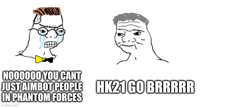 nooo haha go brrr | NOOOOOO YOU CANT JUST AIMBOT PEOPLE IN PHANTOM FORCES; HK21 GO BRRRRR | image tagged in nooo haha go brrr | made w/ Imgflip meme maker