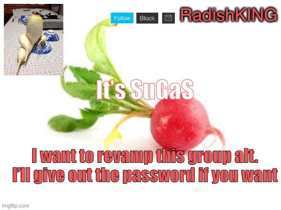 RadishKING announcement template | It’s SuGaS; I want to revamp this group alt. I’ll give out the password if you want | image tagged in radishking announcement template | made w/ Imgflip meme maker