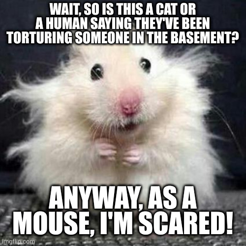 Stressed Mouse | WAIT, SO IS THIS A CAT OR A HUMAN SAYING THEY'VE BEEN TORTURING SOMEONE IN THE BASEMENT? ANYWAY, AS A MOUSE, I'M SCARED! | image tagged in stressed mouse | made w/ Imgflip meme maker