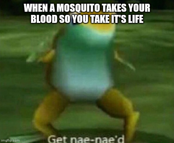 justice 101 |  WHEN A MOSQUITO TAKES YOUR BLOOD SO YOU TAKE IT'S LIFE | image tagged in get nae-nae'd,mosquito | made w/ Imgflip meme maker
