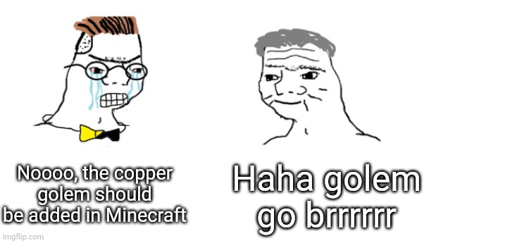 nooo haha go brrr | Noooo, the copper golem should be added in Minecraft Haha golem go brrrrrr | image tagged in nooo haha go brrr | made w/ Imgflip meme maker