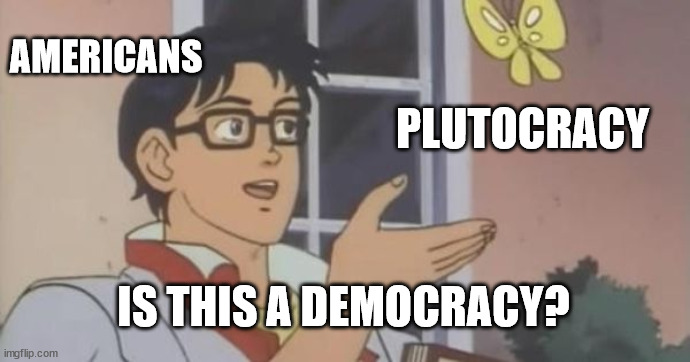 Is This a Pigeon | AMERICANS; PLUTOCRACY; IS THIS A DEMOCRACY? | image tagged in is this a pigeon | made w/ Imgflip meme maker