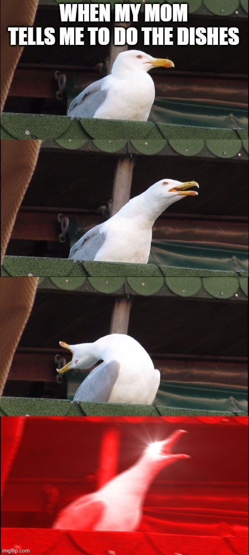 INhaling SeAgULL | WHEN MY MOM
TELLS ME TO DO THE DISHES | image tagged in memes,inhaling seagull | made w/ Imgflip meme maker